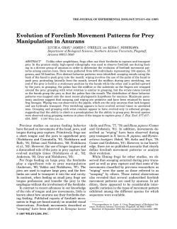 Evolution of Forelimb Movement Patterns for