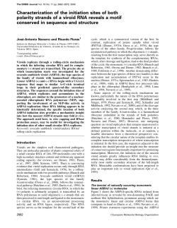 Characterization of the initiation sites of both polarity strands of a