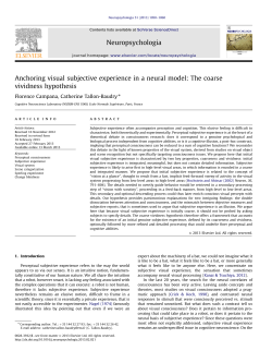 Anchoring visual subjective experience in a - LNC - IEC