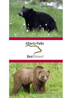 Bear Smart - Alberta Parks