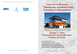 Nanoscale Assembly and Transport in Biosystems