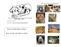 Teacher resources