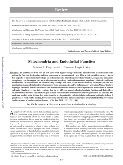 Mitochondria and Endothelial Function