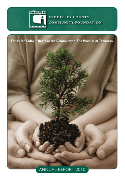 2010 Annual Report - Community Foundation Of Middlesex County