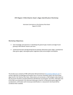 Handout - Interstate Commission on the Potomac River Basin