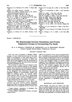 The Relationship between Glutathione and Protein Sulphydryl