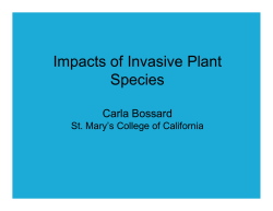 Impacts of Invasive Plant Species Carla Bossard St. Mary`s College