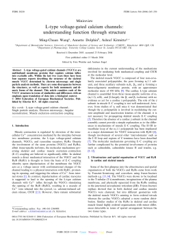 L-type voltage-gated calcium channels: understanding