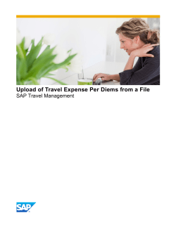Upload of Travel Expense Per Diems from a File