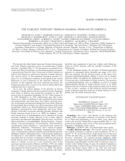 rapid communication the earliest tertiary therian mammal