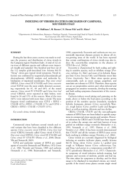 INDEXING OF VIROIDS IN CITRUS ORCHARDS OF CAMPANIA