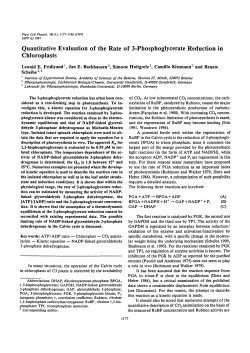 Quantitative Evaluation of the Rate of 3