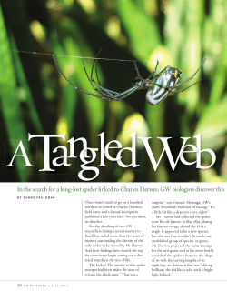 In the search for a long-lost spider linked to Charles Darwin, GW
