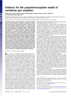 Evidence for the prepattern/cooption model of vertebrate jaw evolution