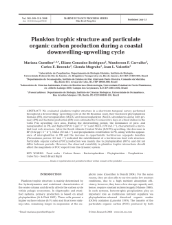 Plankton trophic structure and particulate organic carbon production