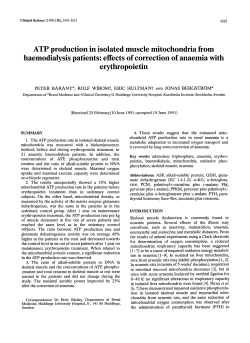 ATP production in isolated muscle mitochondria