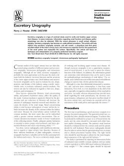 Excretory Urography