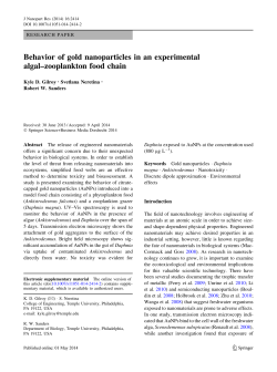 Behavior of gold nanoparticles in an experimental algal