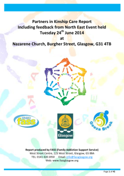 North East Partners In Kinship Care Report