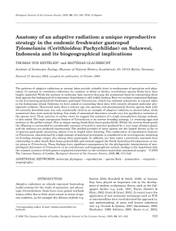 Anatomy of an adaptive radiation: a unique reproductive strategy in