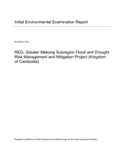 Initial Environmental Examination Report