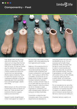 Foot Componentry