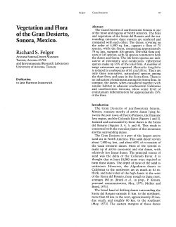 of the Gran Desierto - UA Campus Repository