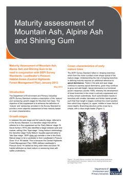 Maturity assessment of Mountain Ash, Alpine Ash and Shining Gum