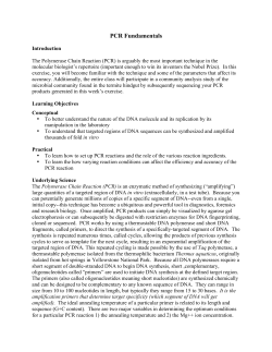 PCR Fundamentals