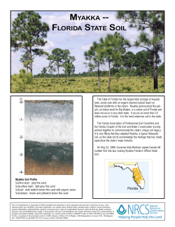 florida state soil - NRCS