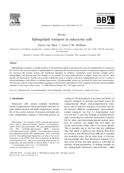 Sphingolipid transport in eukaryotic cells