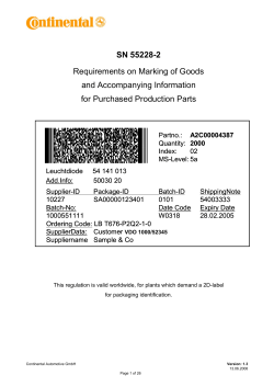 SN 55228-2 Requirements on Marking of Goods and Accompanying