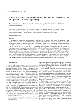 Mouse A9 Cells Containing Single Human Chromosomes for