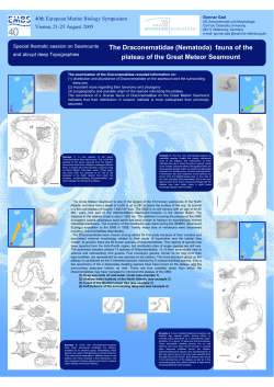The Draconematidae (Nematoda) fauna of the plateau of the Great