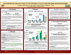 fungal N2O production