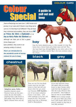 colour special 2:R247 Y/Redwings Pullout pdf