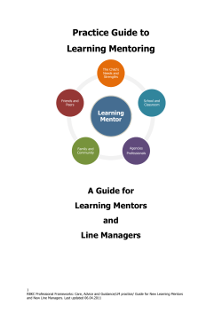 Practice Guide to Learning Mentoring A Guide for Learning Mentors