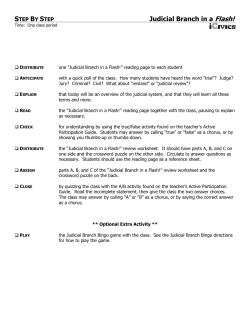 Judicial Branch in a Flash!