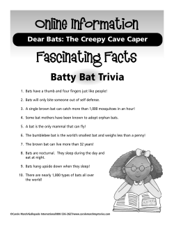 Fascinating Bat Facts - Gallopade International