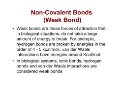Non-Covalent Bonds (Weak Bond)