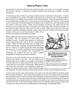 How to Plant a Tree - Athens