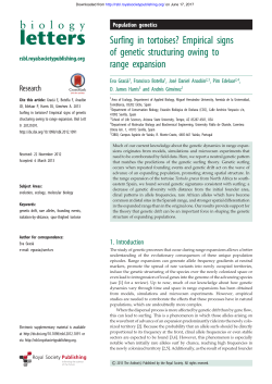Surfing in tortoises? Empirical signs of genetic structuring owing to
