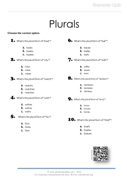 Plural Forms_grammar-quiz