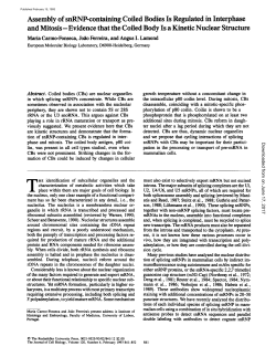 Assembly of snRNP-containing Coiled Bodies Is Regulated in
