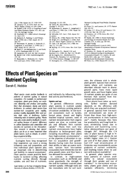 Effects of Plant Species on Nutrient Cycling