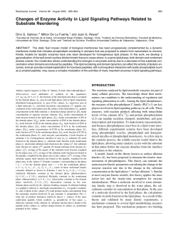 Changes of Enzyme Activity in Lipid Signaling Pathways Related to