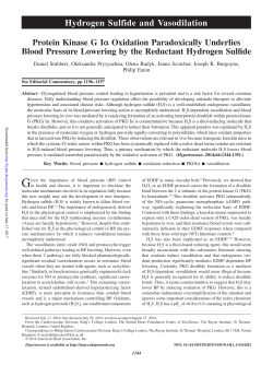 Hydrogen Sulfide and Vasodilation