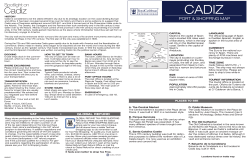 Spotlight on - Royal Caribbean