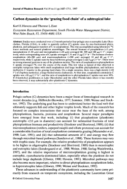 Carbon dynamics in the `grazing food chain` of a subtropical lake