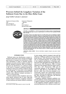 this PDF file - Florida Online Journals